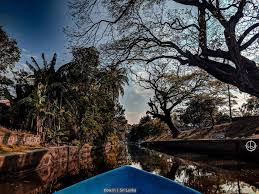 Negombo Lagoon Activities